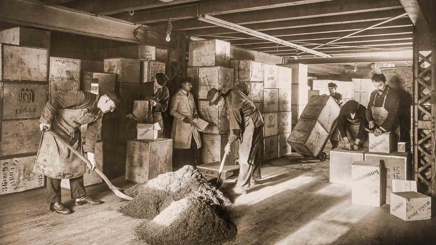 Une passion depuis plus de 140 ans