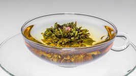 一切茶半岛体育官网直营官网